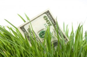 100-dollar-bill-in-grass